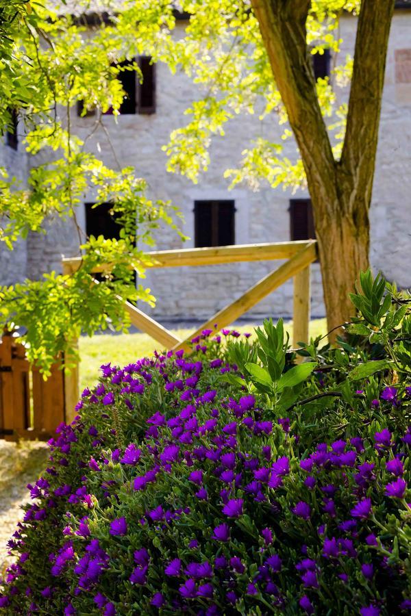Castello Di Titignano Villa Orvieto Ngoại thất bức ảnh